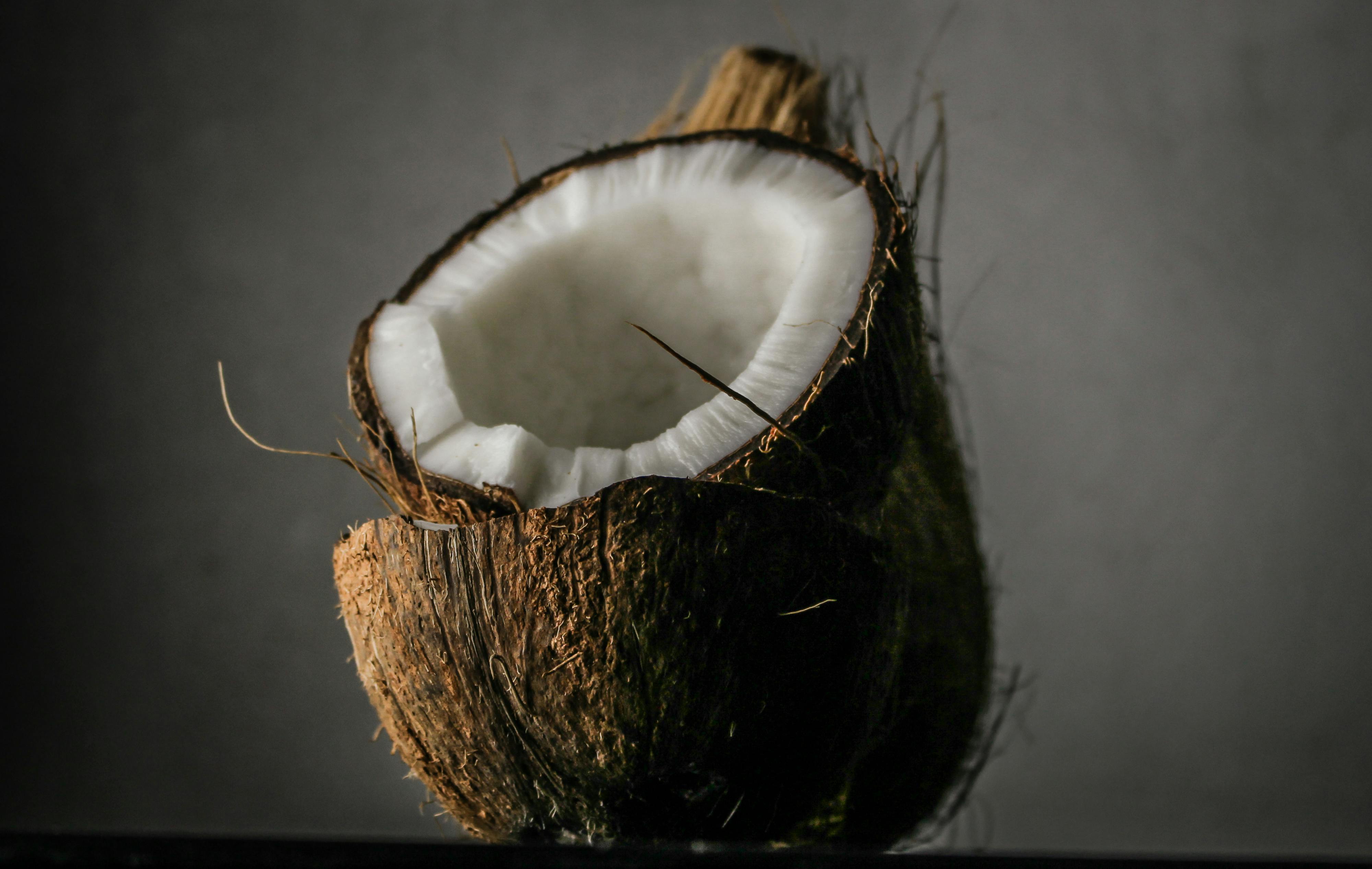 kelapa tua